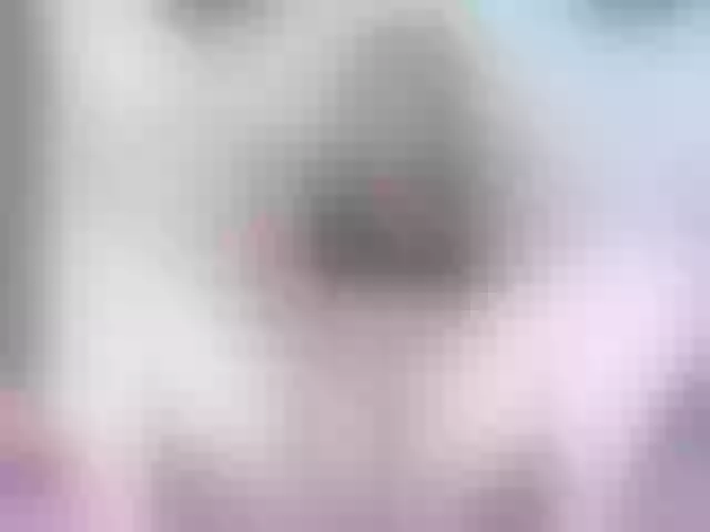 Live sex webcam photo for ParisFerrer #272804234