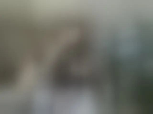 Live sex webcam photo for ParisSaintGermain #293070592