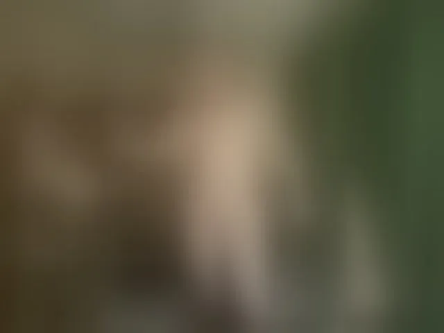 Live sex webcam photo for Pasha981 #292596549