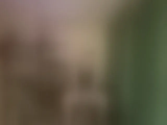Live sex webcam photo for Pasha981 #293430220