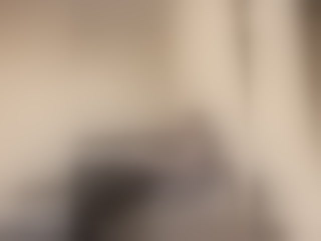 Live sex webcam photo for Pasha981 #294102552