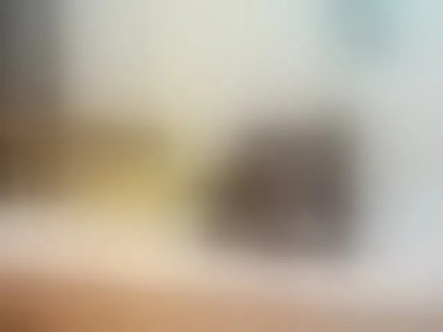 Live sex webcam photo for Paulacums #292575150