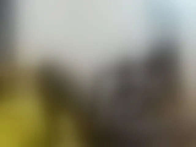 Live sex webcam photo for Paulacums #292582532