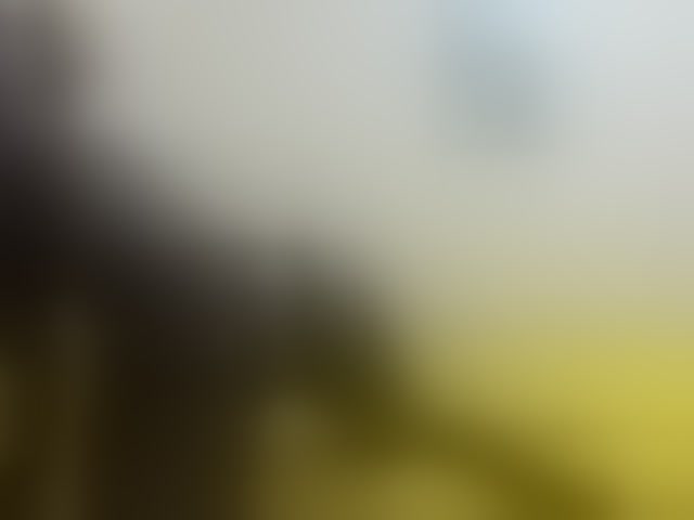 Live sex webcam photo for Paulacums #292587163
