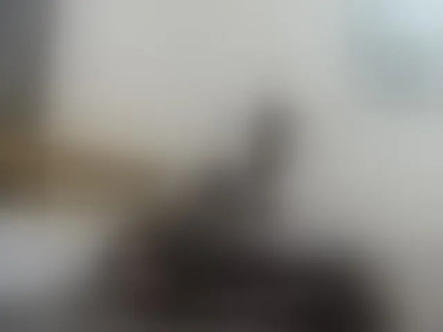 Live sex webcam photo for Paulacums #292597825