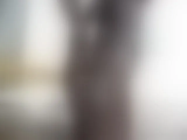 Live sex webcam photo for Paulacums #292599006