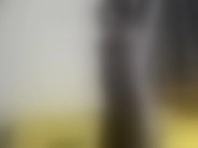 Live sex webcam photo for Paulacums #293120503