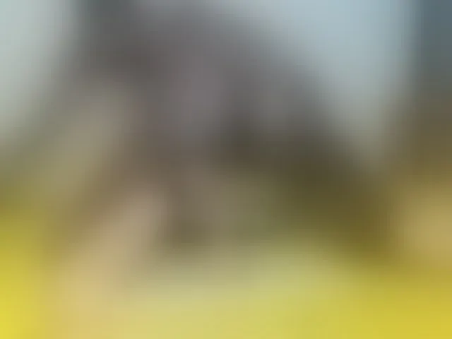 Live sex webcam photo for Paulacums #293439652