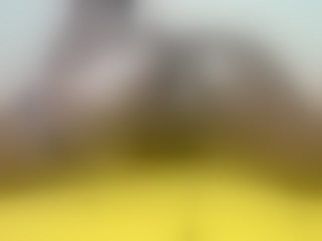 Live sex webcam photo for Paulacums #293445595