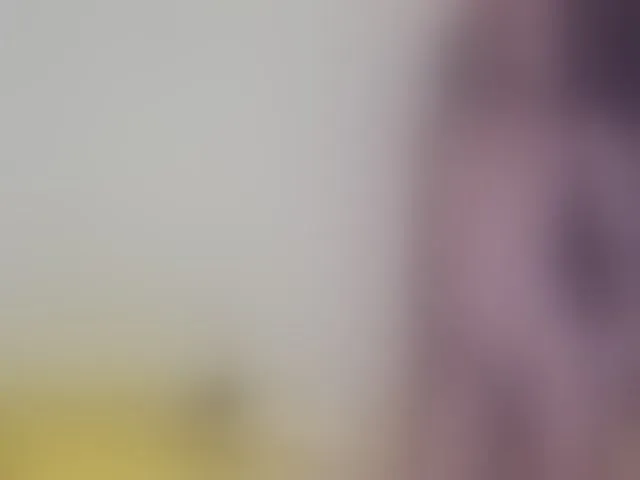 Live sex webcam photo for Paulacums #293491703