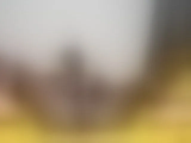 Live sex webcam photo for Paulacums #293588453