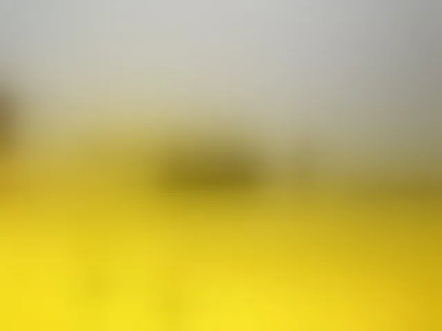 Live sex webcam photo for Paulacums #293667059
