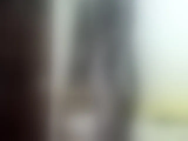 Live sex webcam photo for Paulacums #293724890