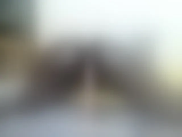 Live sex webcam photo for Paulacums #293768689