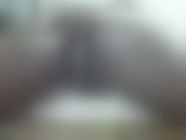 Live sex webcam photo for Paulacums #293859352