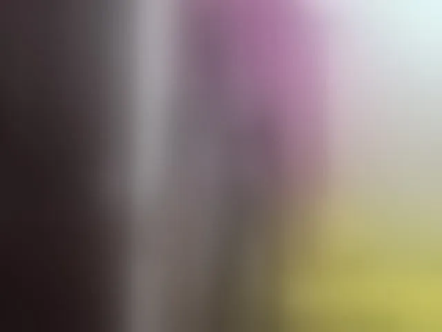 Live sex webcam photo for Paulacums #293946108