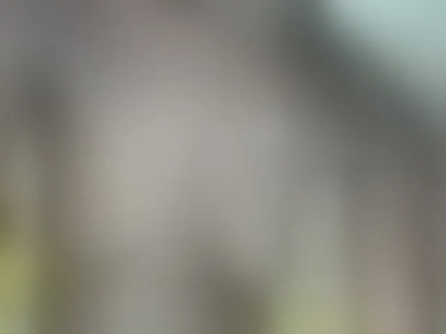 Live sex webcam photo for Paulacums #293999730