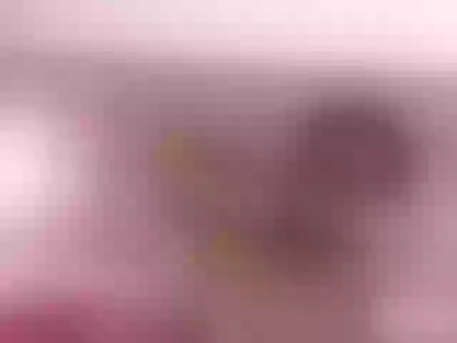 Live sex webcam photo for Paulet6 #274049177