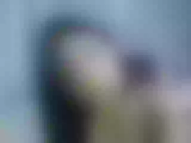 Live sex webcam photo for Paulett #274308289