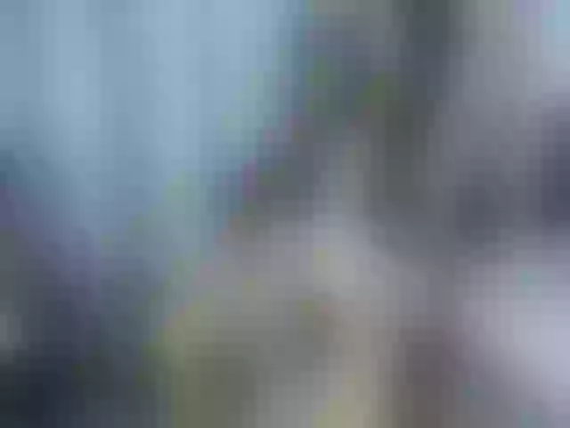 Live sex webcam photo for Paulett #274369287