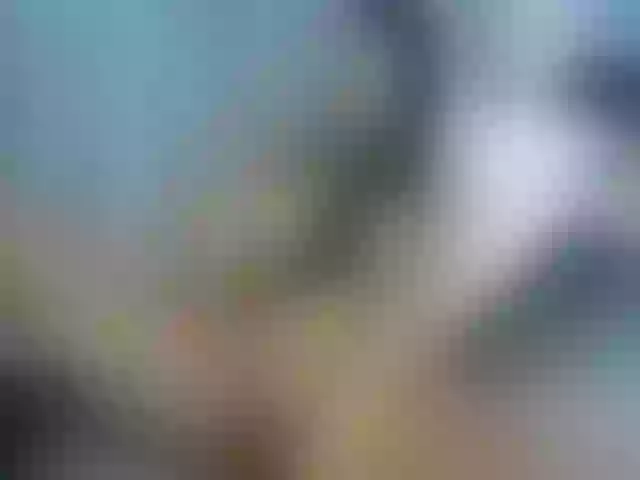 Live sex webcam photo for Paulett #274432162