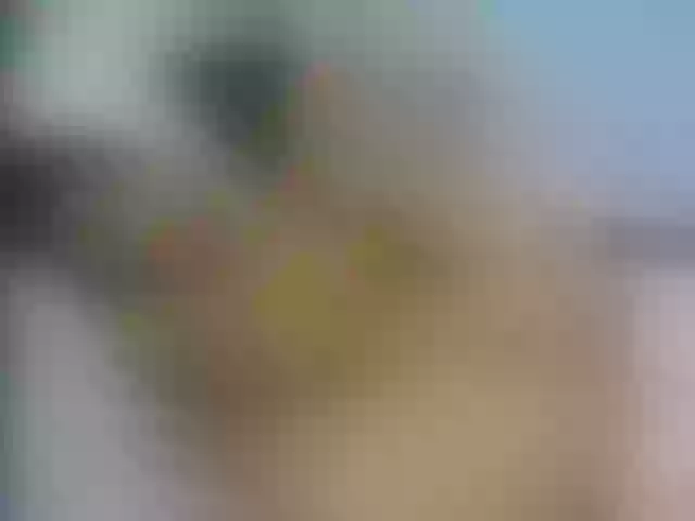 Live sex webcam photo for Paulett #274569613