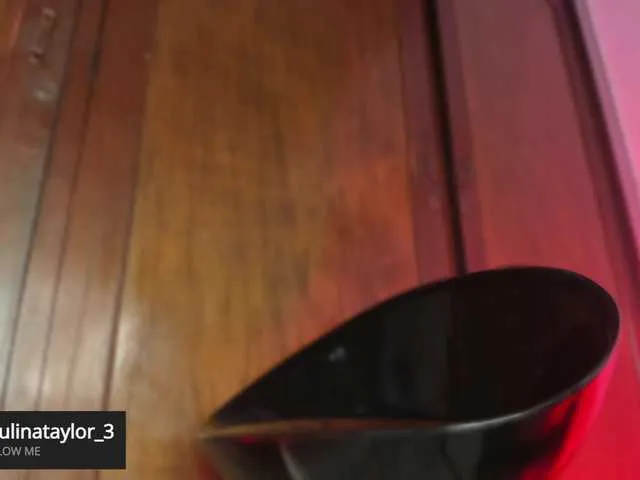 Live sex webcam photo for PaulinaTaylor #290348547