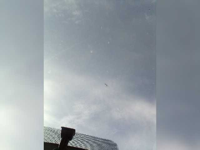 Live sex webcam photo for Pavarotis #276248066