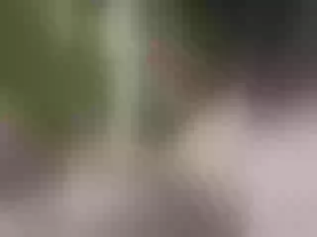 Live sex webcam photo for Pechalka #290024263