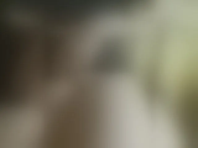 Live sex webcam photo for Pechalka #290031293