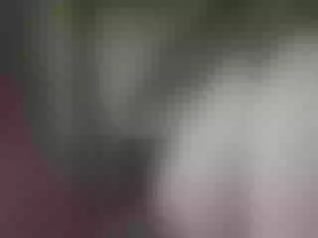 Live sex webcam photo for Pechalka #291434742