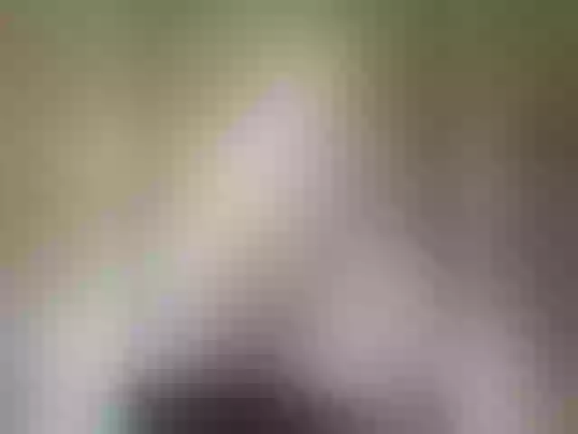 Live sex webcam photo for Pechalka #291943120