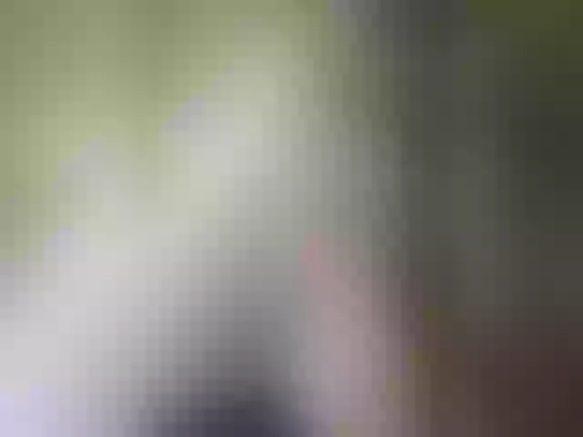 Live sex webcam photo for Pechalka #292008107