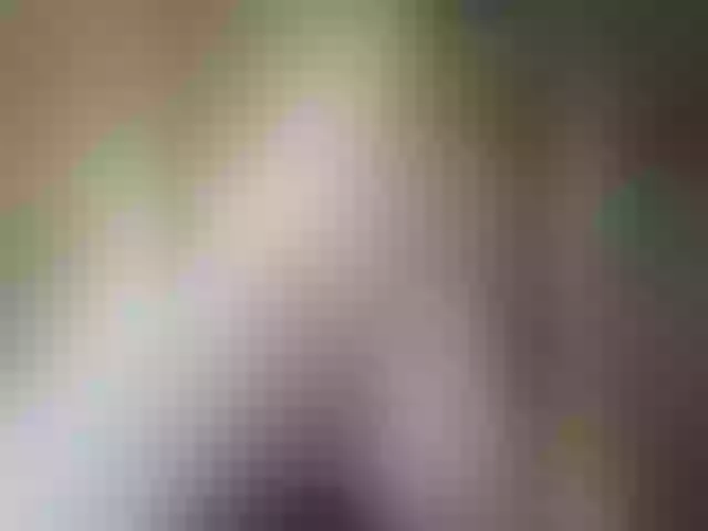 Live sex webcam photo for Pechalka #292029526