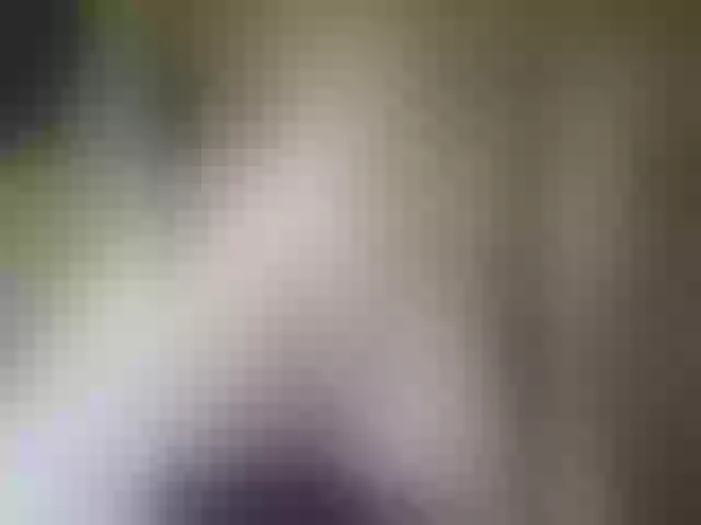 Live sex webcam photo for Pechalka #292041874