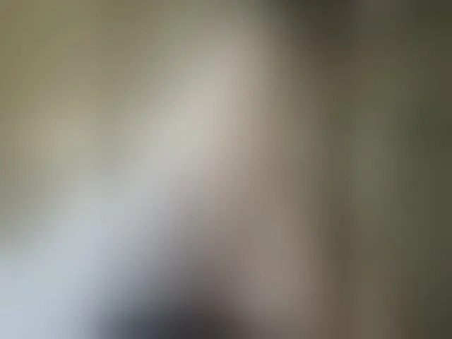 Live sex webcam photo for Pechalka #292043938