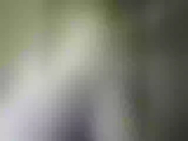 Live sex webcam photo for Pechalka #292080453