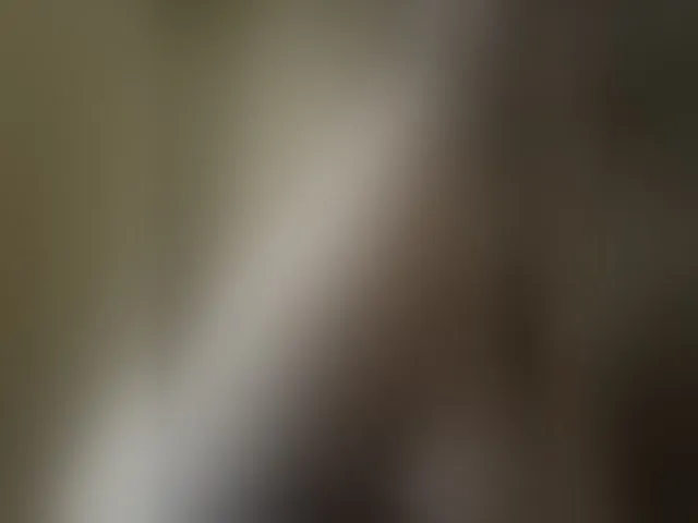 Live sex webcam photo for Pechalka #293741219