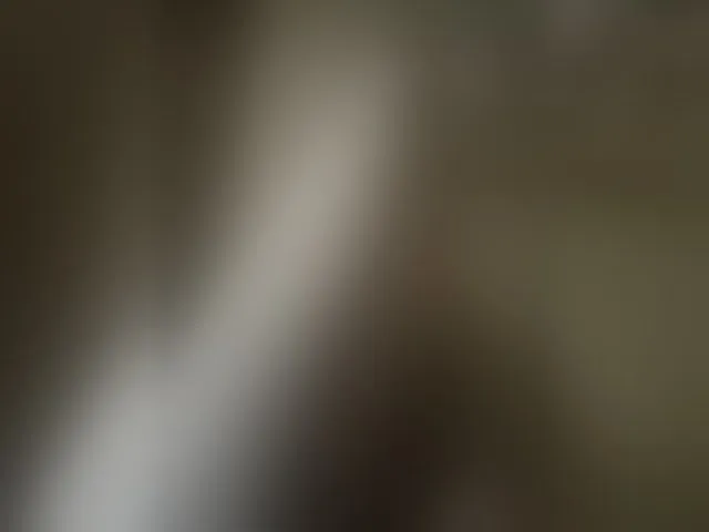 Live sex webcam photo for Pechalka #293786455