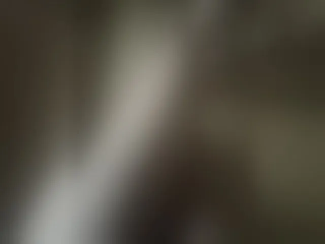 Live sex webcam photo for Pechalka #293792172