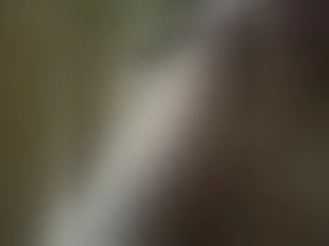Live sex webcam photo for Pechalka #293831544