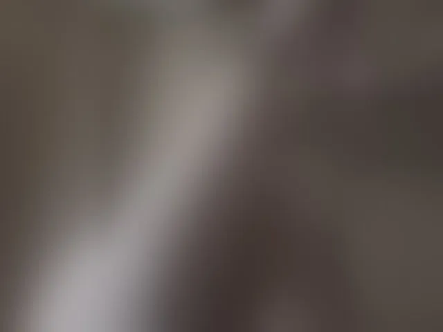 Live sex webcam photo for Pechalka #293901033