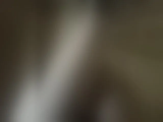 Live sex webcam photo for Pechalka #293911598