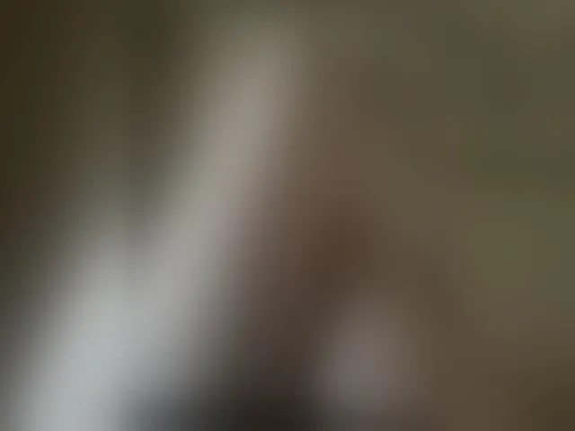 Live sex webcam photo for Pechalka #293921920