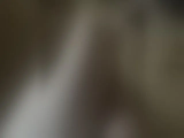 Live sex webcam photo for Pechalka #293967299