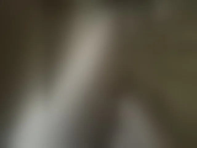 Live sex webcam photo for Pechalka #293985160