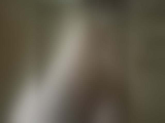 Live sex webcam photo for Pechalka #294046761