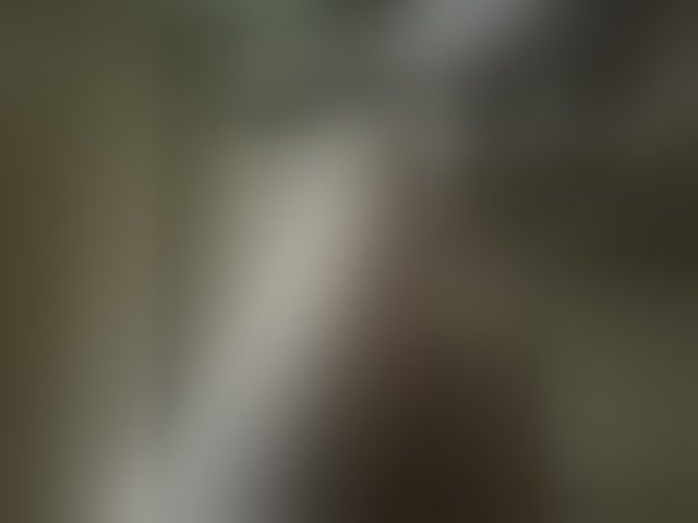 Live sex webcam photo for Pechalka #294050443