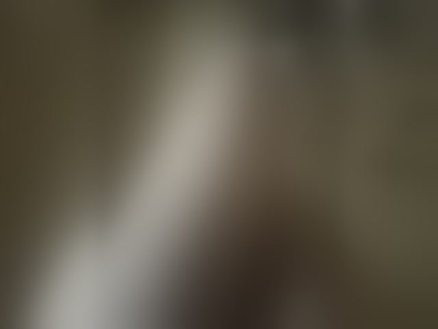 Live sex webcam photo for Pechalka #294051387