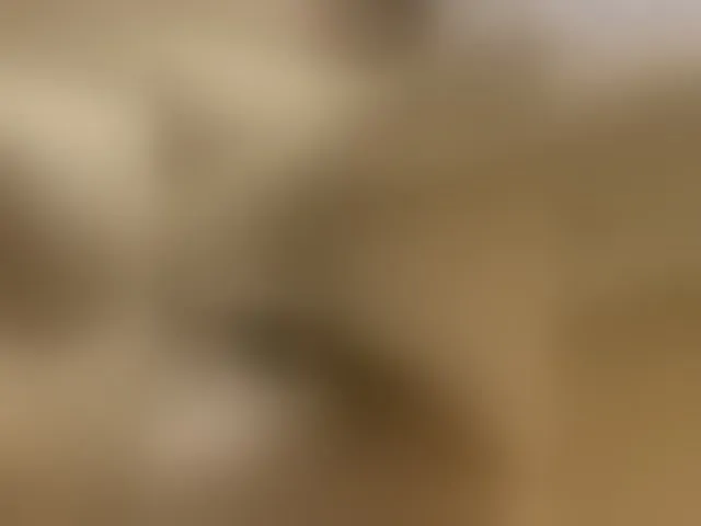 Live sex webcam photo for Pekkaboo #274661153